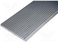 RAD-P3698/1000 RAD-P3698/1000